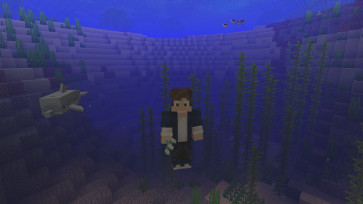 Das Update Aquatic ist endlich da!