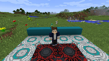 Papageie, neue Blöcke und neue Geräusche