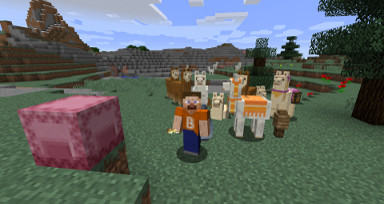 Lamas, Truhen mit Erinnerung und Waldanwesen